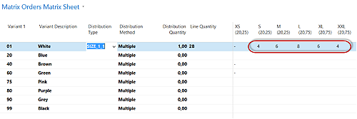 Apparel matrix in Microsoft Dynamics NAV