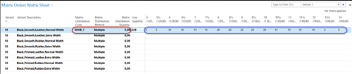 Matrix distribution for shoe